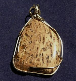 Fossil Fern Pendant in Sterling Silver